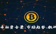 美国加密货币融资全景：市场趋势、挑战与未来