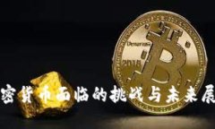 加密货币面临的挑战与未来展望