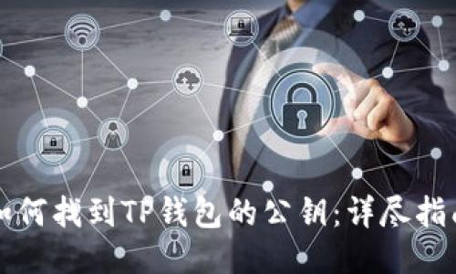 如何找到TP钱包的公钥:详尽指南