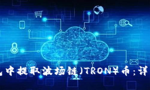如何在TP钱包中提取波场链(TRON)币:详细步骤与指南