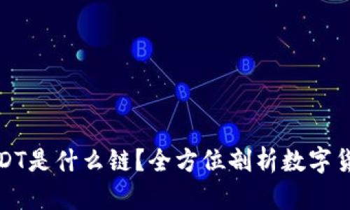 TP钱包中的USDT是什么链?全方位剖析数字货币的背后秘密