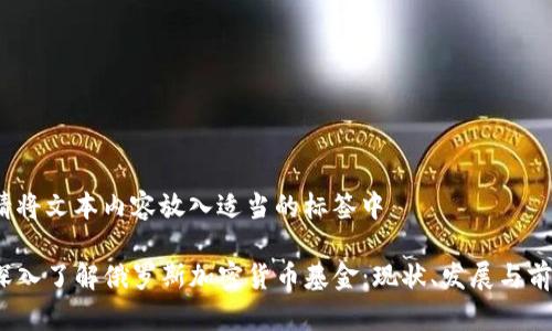 b请将文本内容放入适当的标签中
深入了解俄罗斯加密货币基金:现状、发展与前景