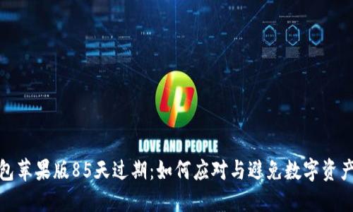 TP钱包苹果版85天过期:如何应对与避免数字资产损失
