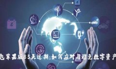 TP钱包苹果版85天过期：如何应对与避免数字资产