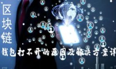 TP钱包打不开的原因及解决方案详解
