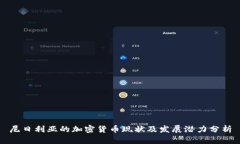尼日利亚的加密货币现状及发展潜力分析