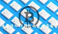 虚拟币能进入TP钱包的意义与前景分析