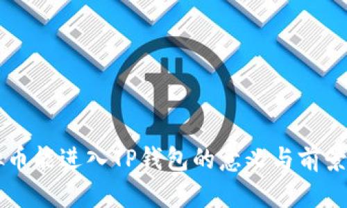 虚拟币能进入TP钱包的意义与前景分析