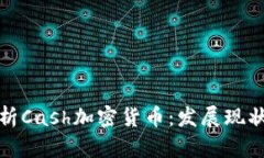 全面深入解析Cash加密货币：发展现状与未来趋势