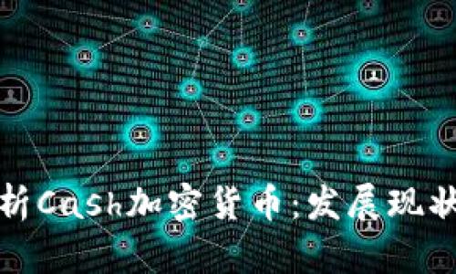 全面深入解析Cash加密货币:发展现状与未来趋势