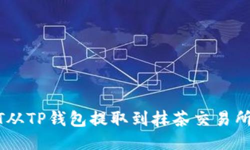 如何将USDT从TP钱包提取到抹茶交易所的详细教程