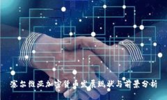 塞尔维亚加密货币发展现状与前景分析