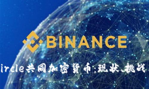 深入探讨Circle共同加密货币:现状、挑战与未来展望