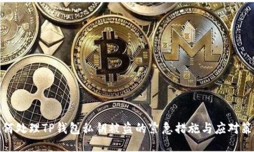 如何处理TP钱包私钥被盗的紧急措施与应对策略