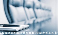 如何找回被删除的TP钱包数据？详解方法与注意事