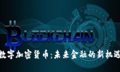 : MGK数字加密货币：未来金融的新机遇与挑战