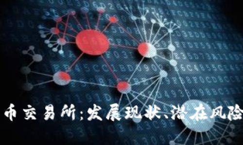 沙特加密货币交易所:发展现状、潜在风险与未来展望
