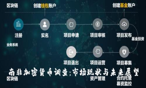 南非加密货币调查:市场现状与未来展望