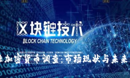 南非加密货币调查:市场现状与未来展望