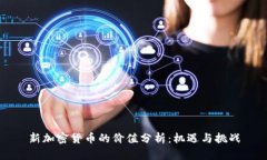 新加密货币的价值分析：机遇与挑战