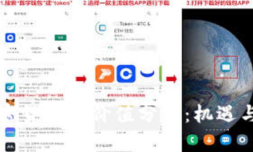 新加密货币的价值分析：机遇与挑战