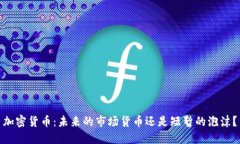 加密货币：未来的市场货币还是短暂的泡沫？
