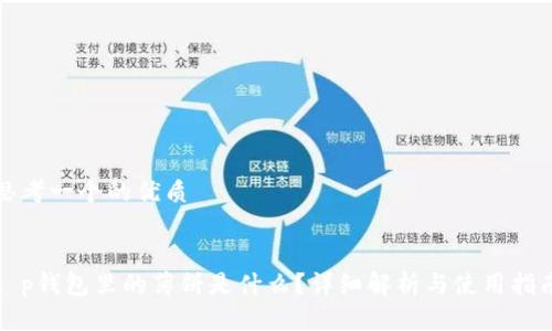 思考一个的优质
t p钱包里的薄饼是什么?详细解析与使用指南