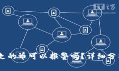 :TP钱包被转走的币可以报警吗？详细分析与应对