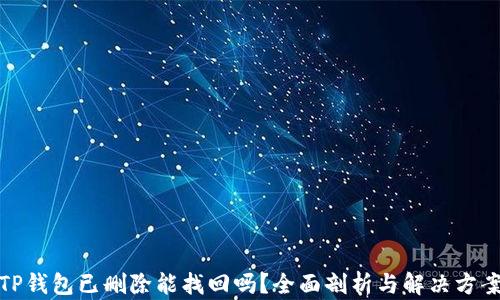 
TP钱包已删除能找回吗？全面剖析与解决方案