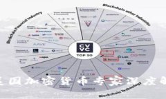 2025必看：美国加密货币专家深度解析未来趋势