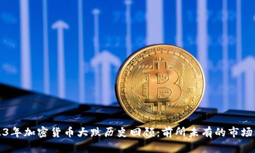 2023年加密货币大跌历史回顾：前所未有的市场动荡