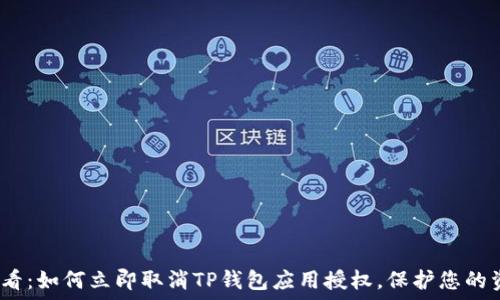 2025必看:如何立即取消TP钱包应用授权,保护您的资产安全
