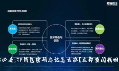 2025必看：TP钱包密码忘记怎么办？立即查阅找回