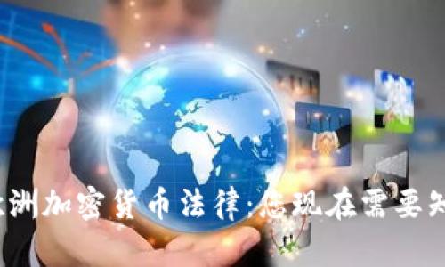 2024年欧洲加密货币法律：您现在需要知道的一切