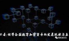 2025必看：世界各国数字加密货币的发展现状与未