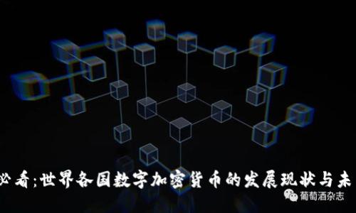2025必看:世界各国数字加密货币的发展现状与未来趋势