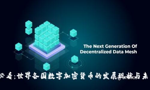 2025必看:世界各国数字加密货币的发展现状与未来趋势