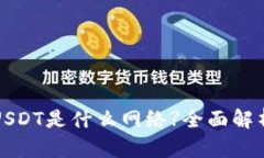 TP钱包中的USDT是什么网络?全面解析与使用指南