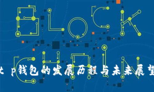 t p钱包的发展历程与未来展望