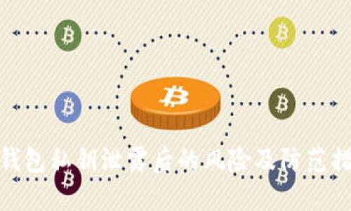 TP钱包私钥泄露后的风险及防范措施