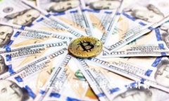 TP钱包支持的币种及购买方式详解