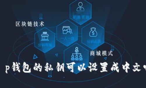 t p钱包的私钥可以设置成中文吗