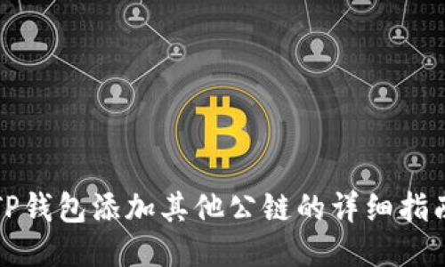 TP钱包添加其他公链的详细指南