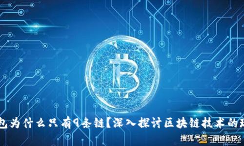 苹果TP钱包为什么只有9条链？深入探讨区块链技术的现状与未来