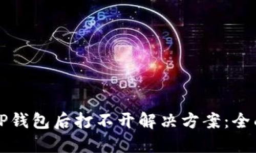 下载TP钱包后打不开解决方案：全面指南