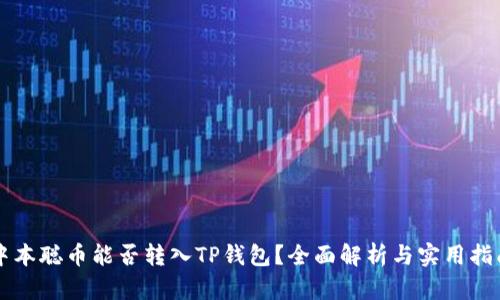 中本聪币能否转入TP钱包？全面解析与实用指南