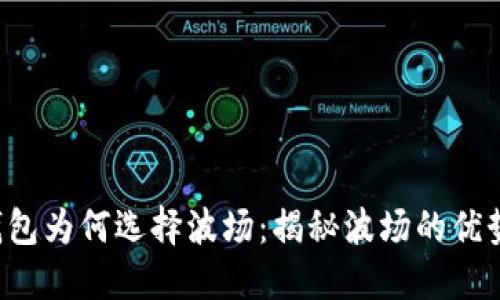 : T P钱包为何选择波场：揭秘波场的优势与潜力