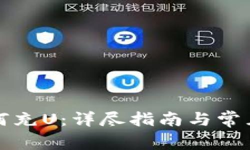 TP钱包如何充U：详尽指南与常见问题解答