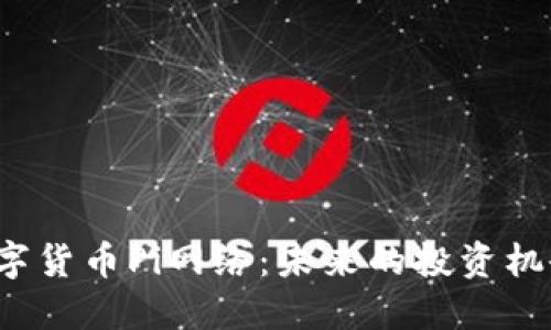 揭秘加密数字货币Pi网络：未来的投资机会还是泡沫？